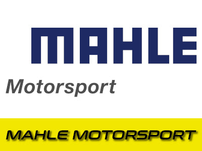 Mahle Motorsport