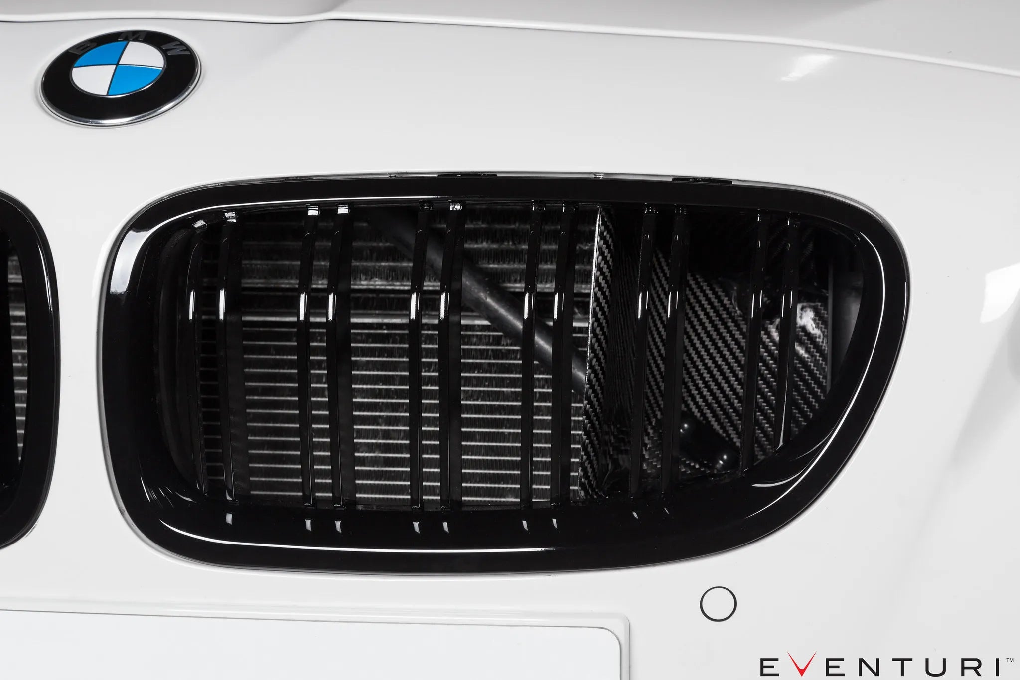 Eventuri Carbon Fibre Intake System for BMW M5 F10 S63