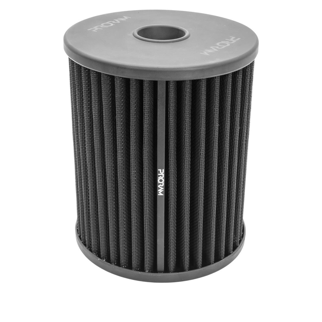 Ramair Pleated Air Filter for Audi RS6/RS7 C7