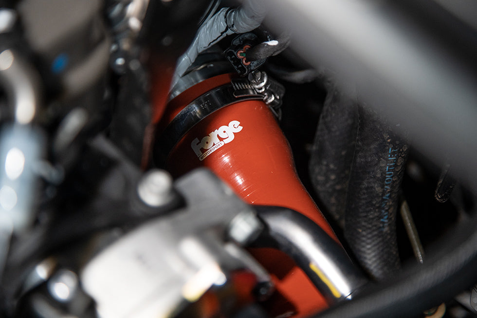 Eliminación del silenciador Forge Motorsport para Hyundai I20N