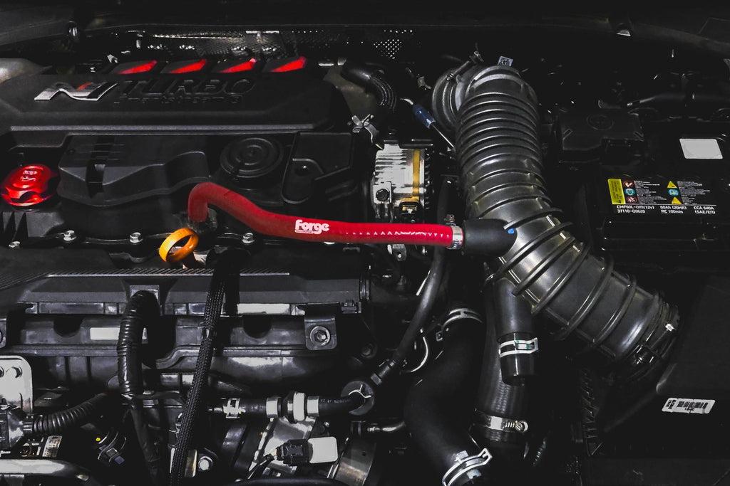 Réservoir de récupération d'huile Forge Motorsport pour Hyundai i20N
