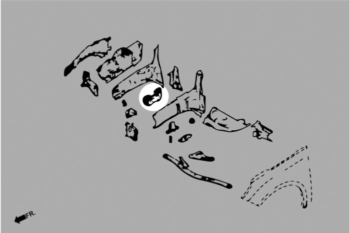 Hardrace Uprated Engine Mount Set - Ford Focus Mk2 ST/RS