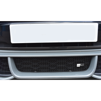 Zunsport Mini Cooper S (2015-2021 with Aerokit) - Centre Grille