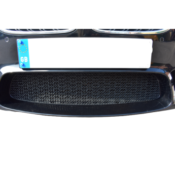 Zunsport BMW M5 F10 - Centre Grille