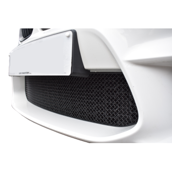 Zunsport BMW M2 Gen 1 (F87) - Centre Grille