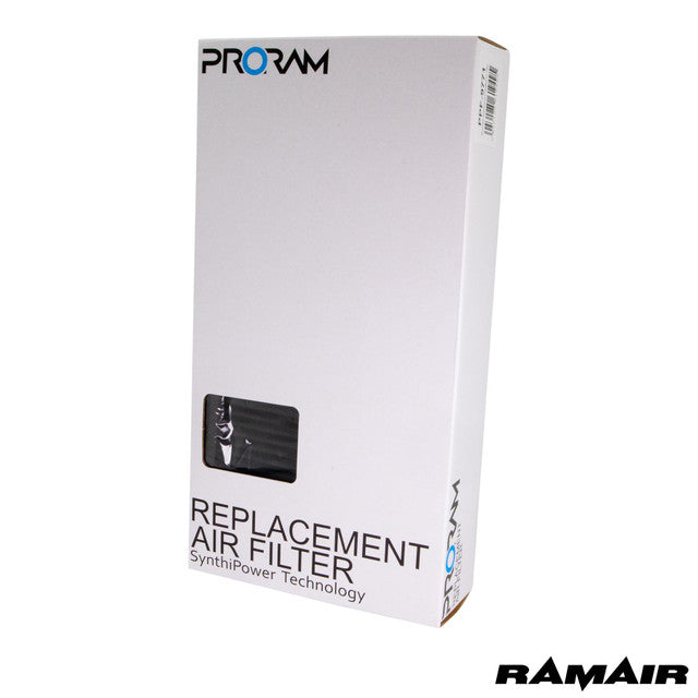 Ramair Pleated Air Filters for Mercedes C63 AMG W205