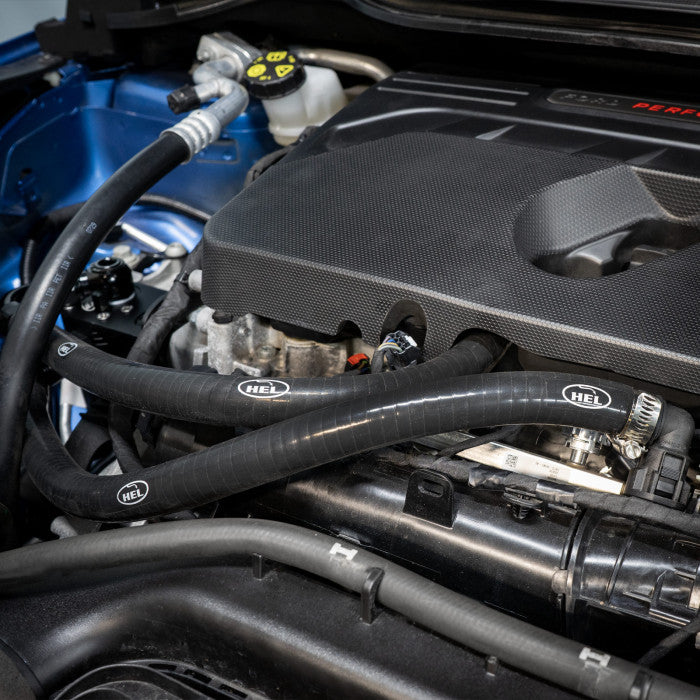 Depósito de aceite HEL - Ford Fiesta ST Mk8 18-23 (MK8STFSCCK)