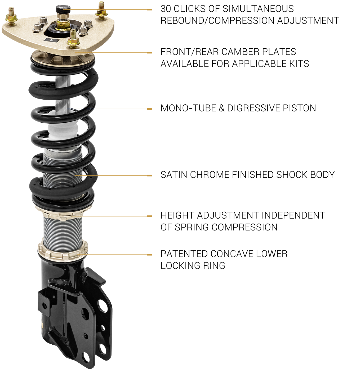BC Racing DS Series 1 Way Adjustment - Ford Focus RS Mk3 2016-2018